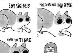 Enlace a Cosas de michis