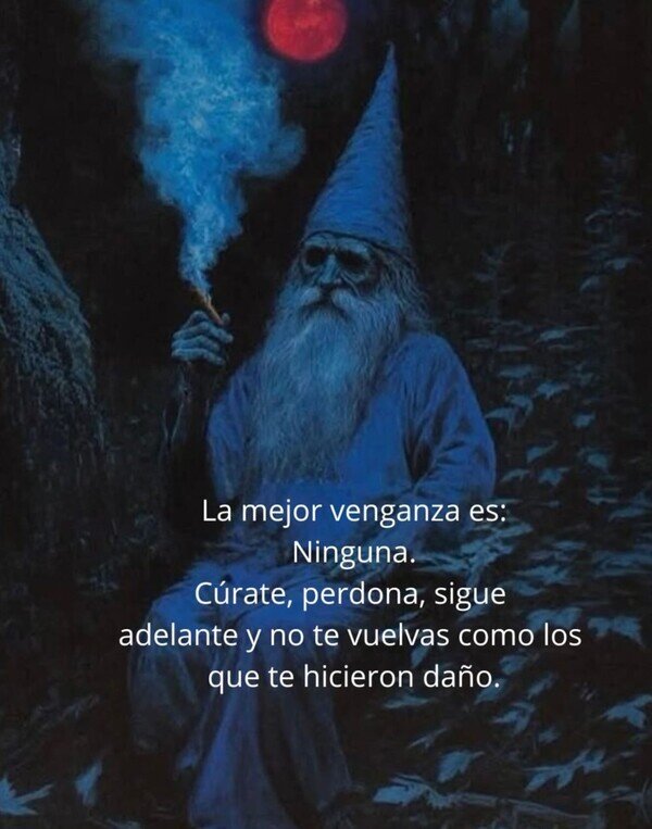 CC_2819565_2b452023c1cf4870b883c630e9e61944_meme_otros_la_mejor_venganza.jpg