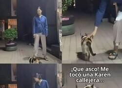 Enlace a Absoluto rechazo