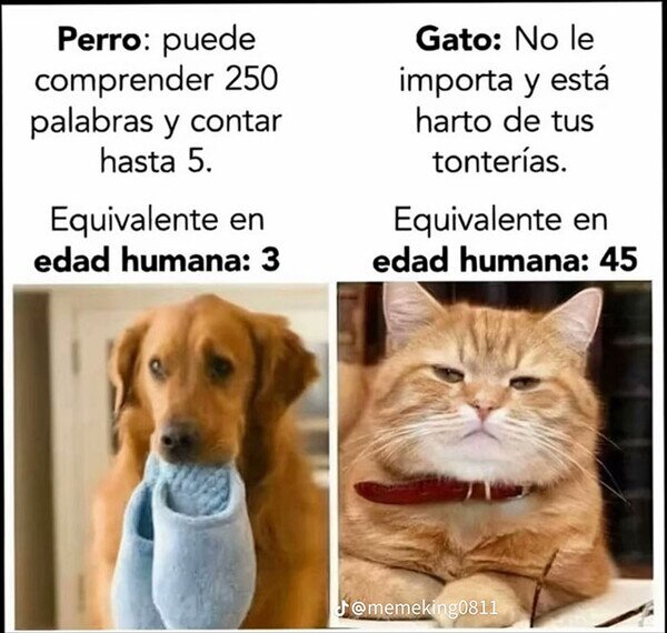 CC_2819633_5a8f39de281e492292367bce7833d016_meme_otros_no_son_lo_mismo.jpg