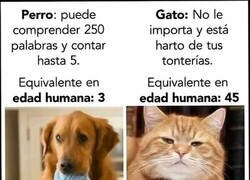 Enlace a No son lo mismo