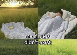 Enlace a Si no existieran los bichos