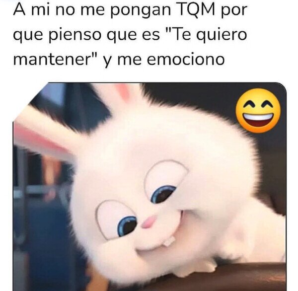 CC_2819689_c19116938a22456fa6ec98bc34637ed8_otros_no_me_ilusionen_a_lo_tonto.jpg