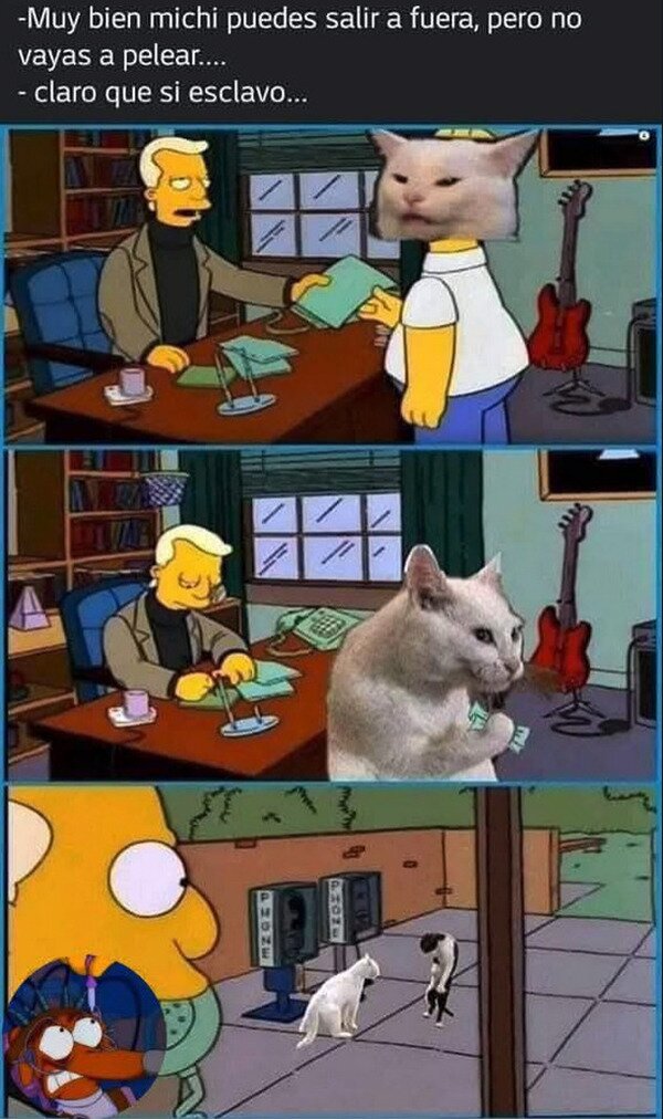 Meme_otros - Lo primerito que hace fuera