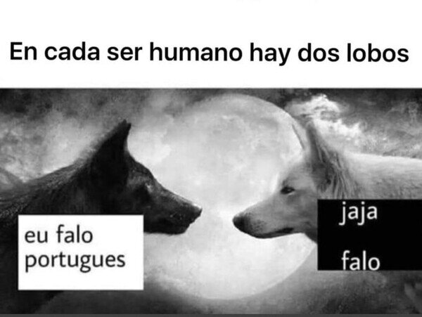 Oso_confesiones - Mis dos lobos internos