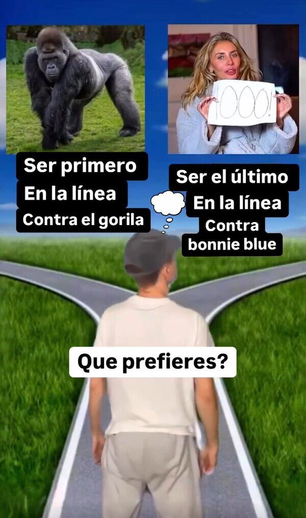 Meme_otros - ¿Qué preferirías?
