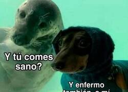 Enlace a No importa en qué estado esté