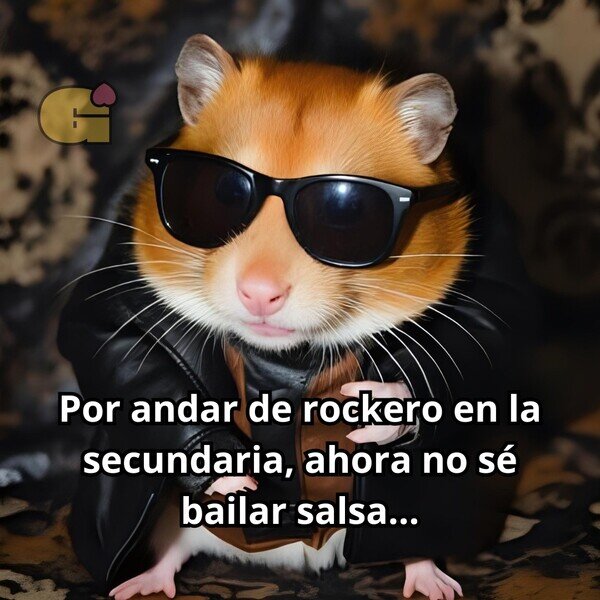 Otros - Ojalá haber aprendido