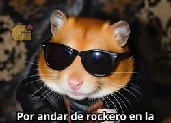 Enlace a Ojalá haber aprendido