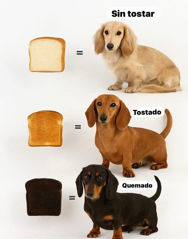 Otros - Tipos de salchicha