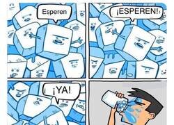 Enlace a Malditos y coordinados hielos