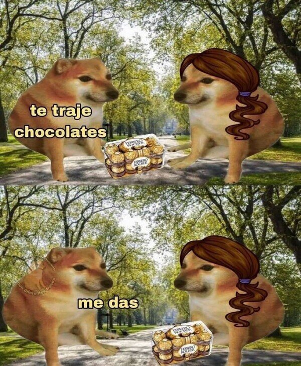 Meme_otros - Por algo te los traje