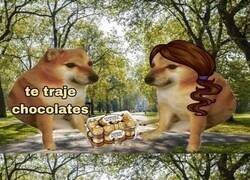 Enlace a Por algo te los traje