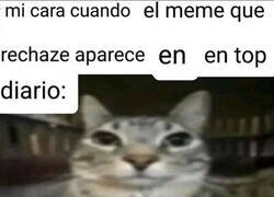 Enlace a Mi criterio es cuestionado