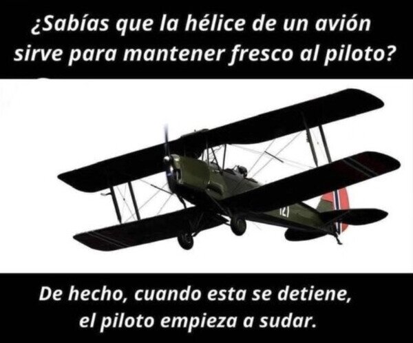 Otros - Tiene sentido