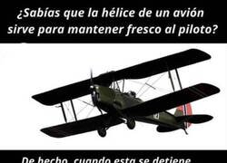 Enlace a Tiene sentido