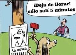 Enlace a Firulais alarmista