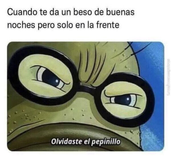 CC_2820069_cbb56c9df0e1450186e7c390f2735366_meme_otros_no_olvidarse_del_pepinillo.jpg