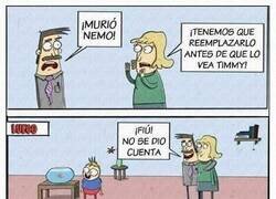 Enlace a Sí, sí se dió cuenta