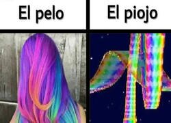 Enlace a Senda Arcoíris