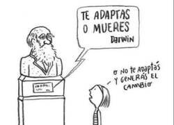 Enlace a Cuestionando a Darwin