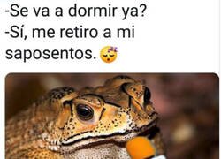 Enlace a Hasta mañana, rana