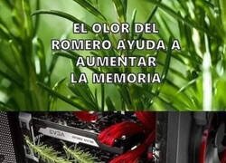 Enlace a Seguro que funciona