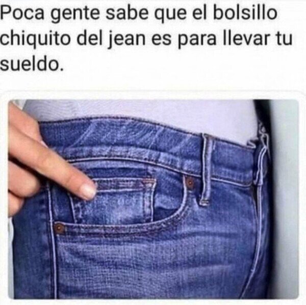 CC_2820225_b21caf7f9eb4402f8d22441f6708ca2d_otros_sabias_para_que_sirve.jpg