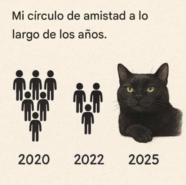 CC_2820227_52224b1180dc405299c51f372724ed0d_otros_se_reducio_al_misifu.jpg
