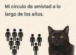 Enlace a Se redució al Misifú