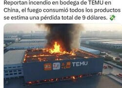 Enlace a Terribles perdidas