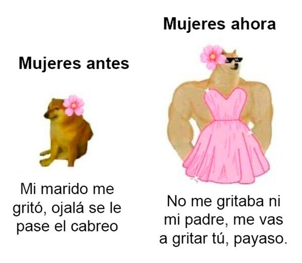 Meme_otros - Empoderamiento