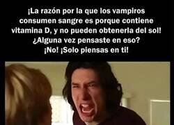 Enlace a Ahora todo tiene sentido