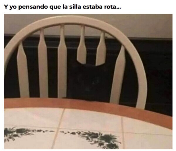 CC_2820558_6cc7e52c68524590996cf40b8269a70c_meme_otros_aqui_hay_gato_encerrado_2.jpg