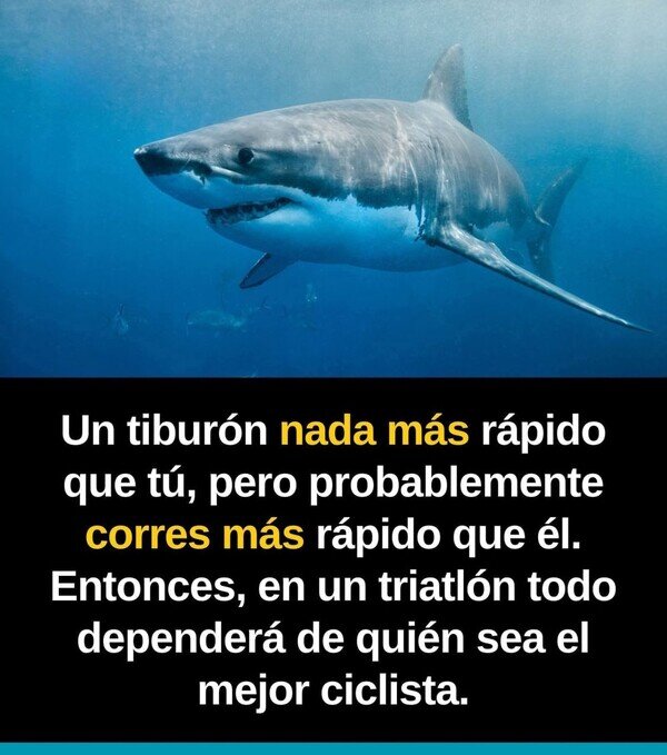 Meme_otros - La bicicleta dictará sentencia