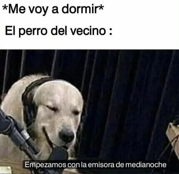 Meme_otros - Todas las noches ladra de lo mismo