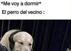 Enlace a Todas las noches ladra de lo mismo