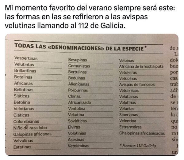 Otros - Así llaman a las avispas velutinas en Galicia