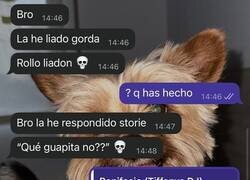 Enlace a Liadón gordo