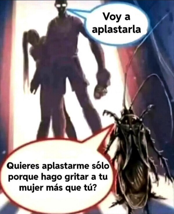 CC_2820685_9474436bcda844d6b700c0545f9696a2_meme_otros_quien_es_el_insecto_repugnante_aqui.jpg
