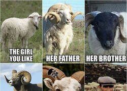 Enlace a No hombre no...