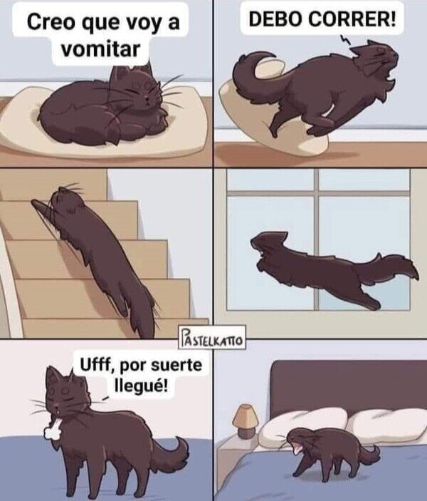 Meme_otros - Llegando a tiempo