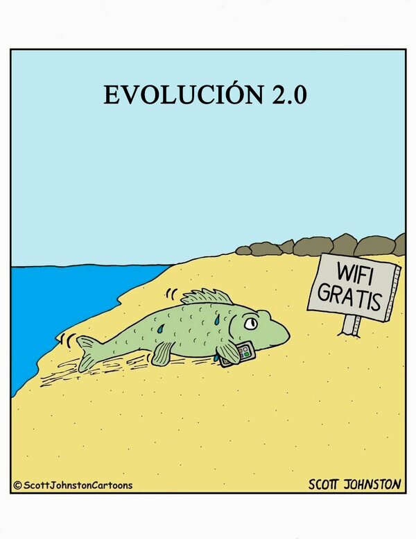CC_2820799_f3e426a5a86d4b6e8197b15a387dccef_otros_evolucion_20.jpg