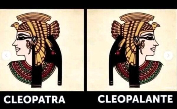 CC_2820909_58da5477d53b4321b68135ea2c577640_otros_la_tonteria_del_dia_308.jpg