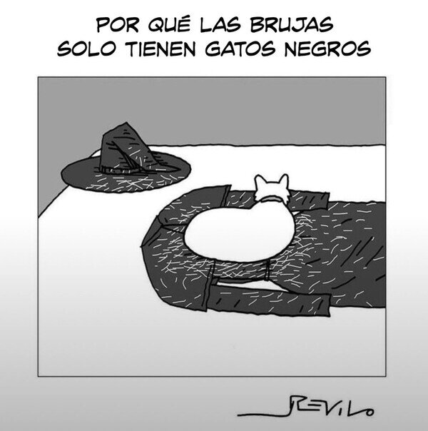 CC_2820916_088a1908bfde4c358aabad6fbbdc89e8_otros_ahora_se_entiende_todo_1.jpg