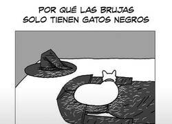 Enlace a Ahora se entiende todo