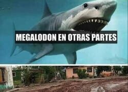 Enlace a Son cosas diferentes