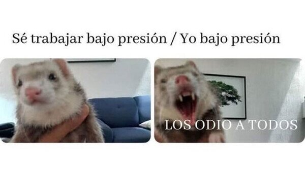 Meme_otros - Trabajando bajo presión
