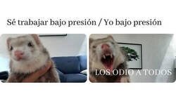 Enlace a Trabajando bajo presión