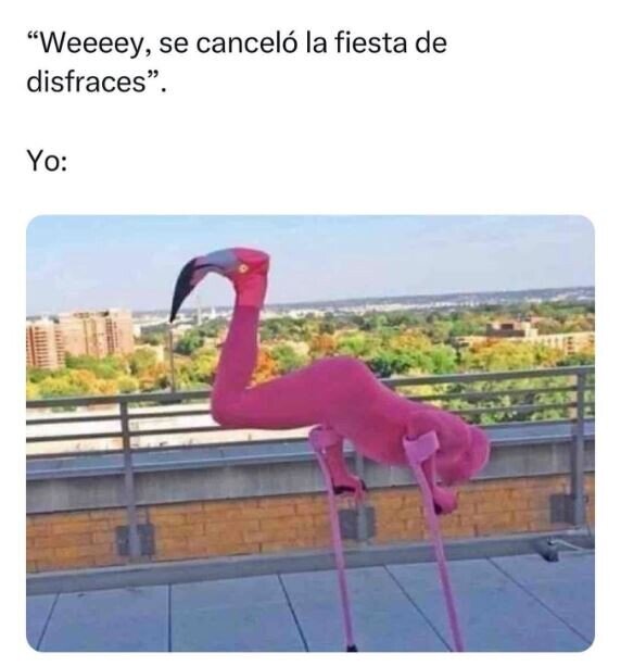 CC_2820986_340e573d278d40f280f4a941f48efa36_meme_otros_con_lo_que_me_ha_costado_venir.jpg